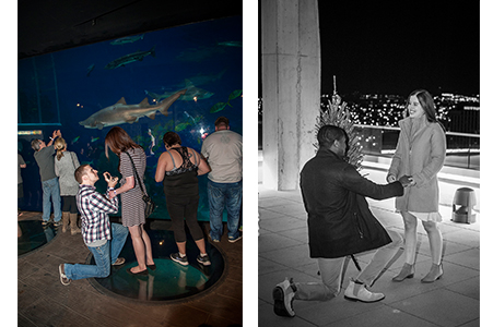2 images of engagements on a rooftop and in an aquarium