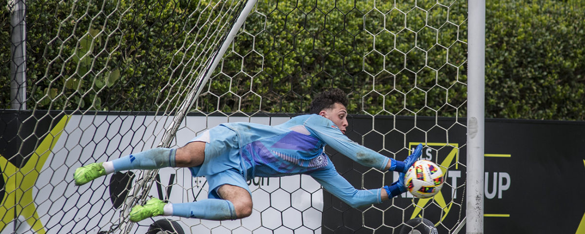 Soccer goalie diving to the far side and blocking a penalty kick shot!